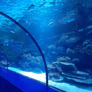 Antalya Aquarium