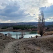 ODTÜ Ormanı