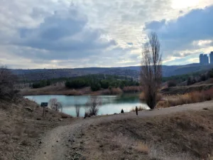 ODTÜ Ormanı