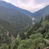 Altındere Vadisi Milli Parkı