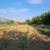 Karabağlar Yaylası