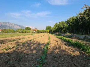 Karabağlar Yaylası