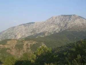 Spil Dağı Milli Parkı Orman Köşk Evleri