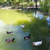 Kapıçam Tabiat Parkı