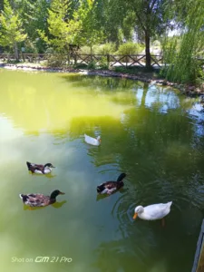 Kapıçam Tabiat Parkı