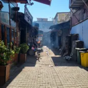 Sülüklü Han