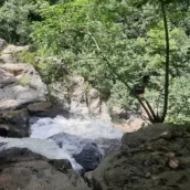 Yalova Kent Ormanı
