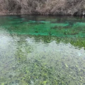 Vakıfgeçitveren Köyü / Bolu