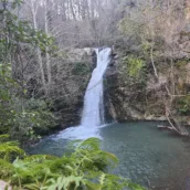 Kocaeli Kent Ormanı