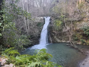 Kocaeli Kent Ormanı