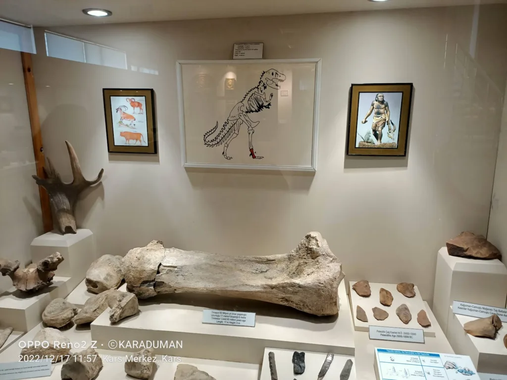Kars Müzesi – Kars