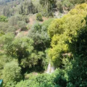 Harbiye Şelalesi