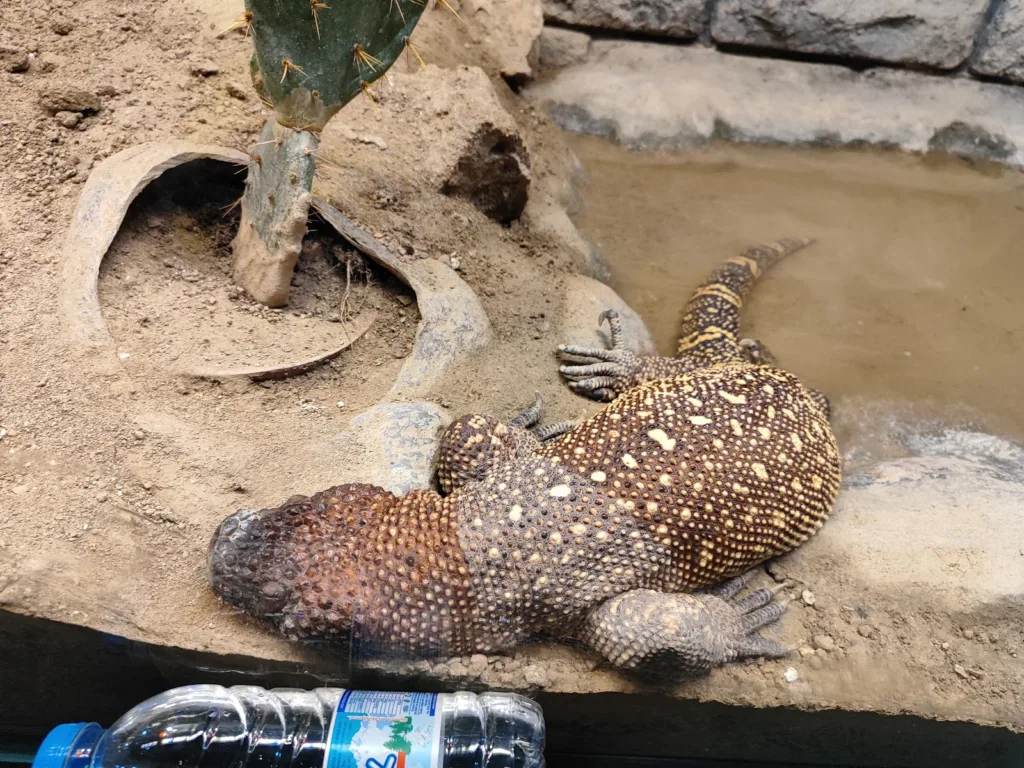 Eskişehir Büyükşehir Belediyesi Hayvanat Bahçesi – Eskişehir