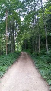 Artvin Kent Ormanı