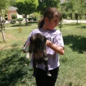 Tunceli Belediyesi Jara Golaceto Ve Parkı