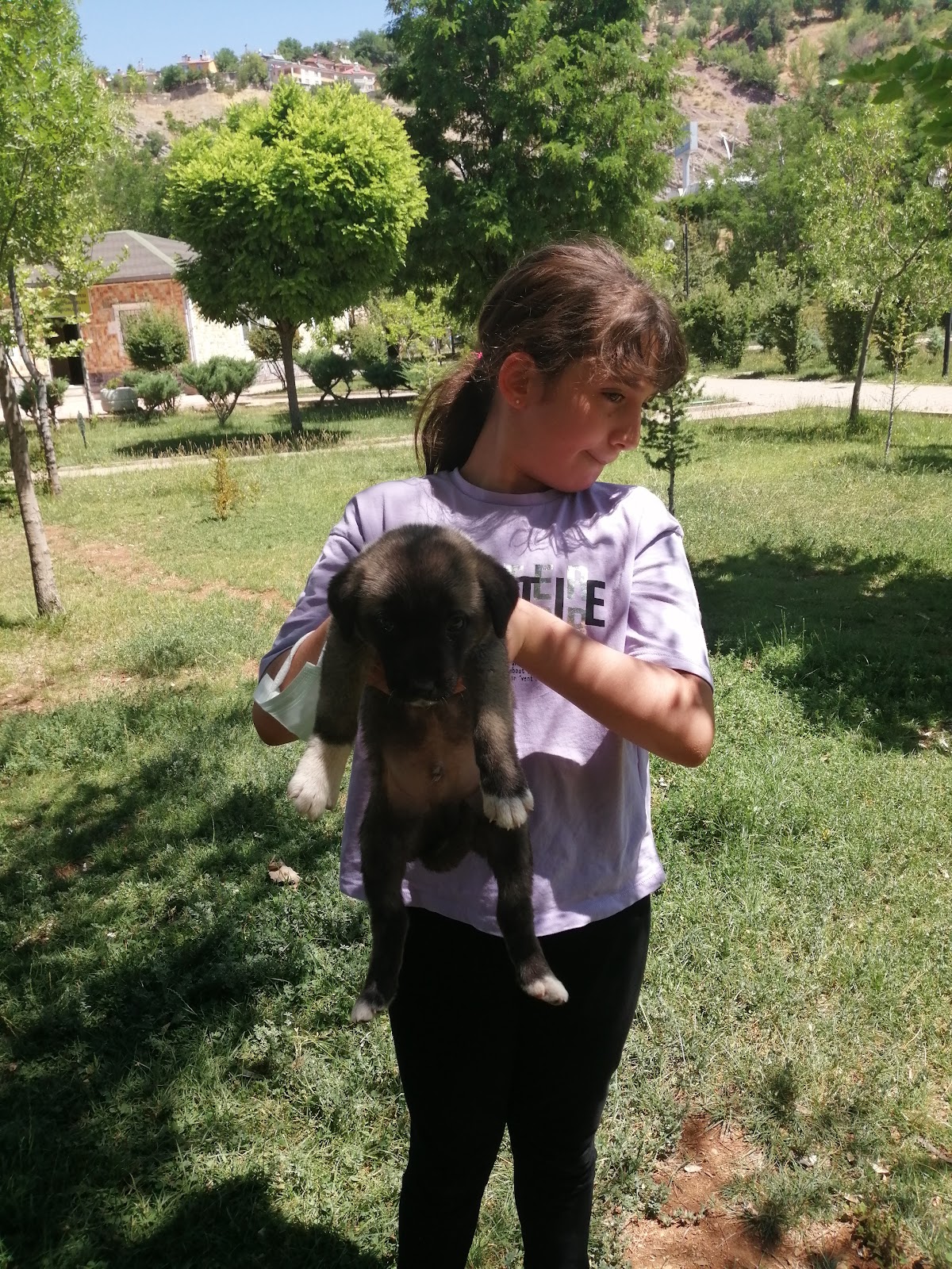 Tunceli Belediyesi Jara Golaceto Ve Parkı