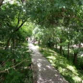 Kale Parkı