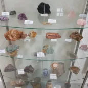 Kütahya Jeoloji Müzesi