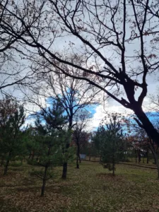 Korupark