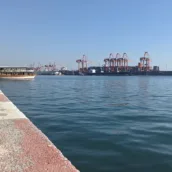 Atatürk Parkı