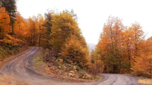 Odayeri Yaylası