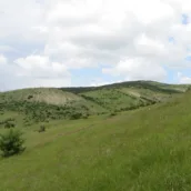 Davulbaztepe Tabiat Parkı