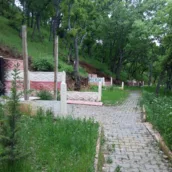 Tunceli Kent Ormanı