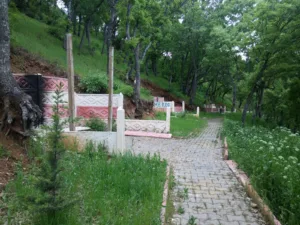 Tunceli Kent Ormanı
