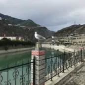 Çoruh Park