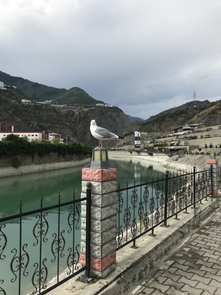 Çoruh Park – Artvin