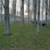 Halis Bayramoğlu Hatıra Ormanı