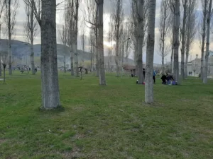 Halis Bayramoğlu Hatıra Ormanı