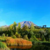 Zuryan Gölü