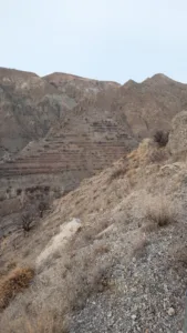 Erzincan Atatürk portresi