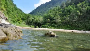Danaağzı Tabiat Parkı