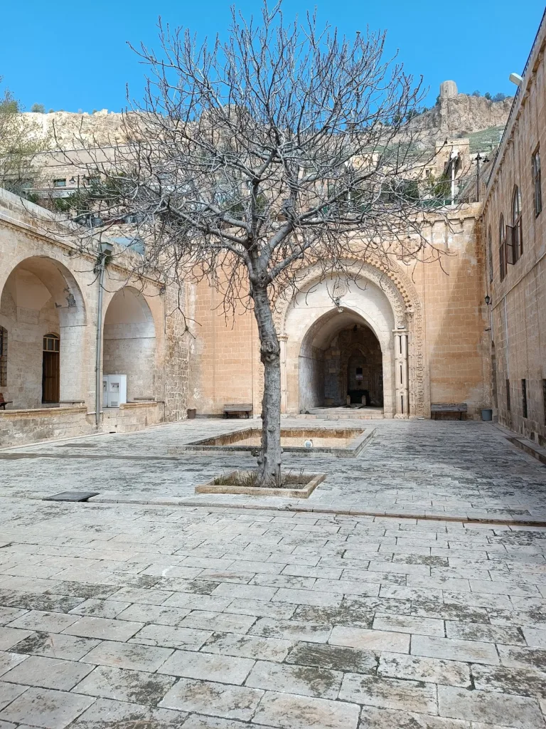 Şehidiye Medresesi – Mardin