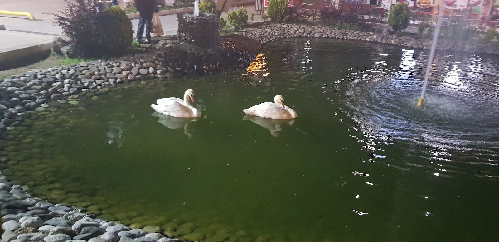 Kuğulu Park