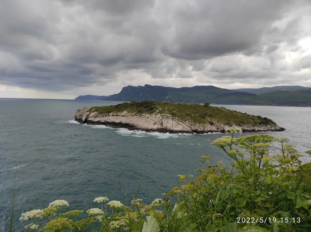 Ağlayan Ağaç – Bartın