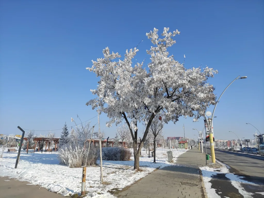 Ağrı Millet Bahçesi – Ağrı