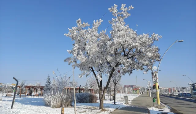 Ağrı Millet Bahçesi – Ağrı fotoğrafı