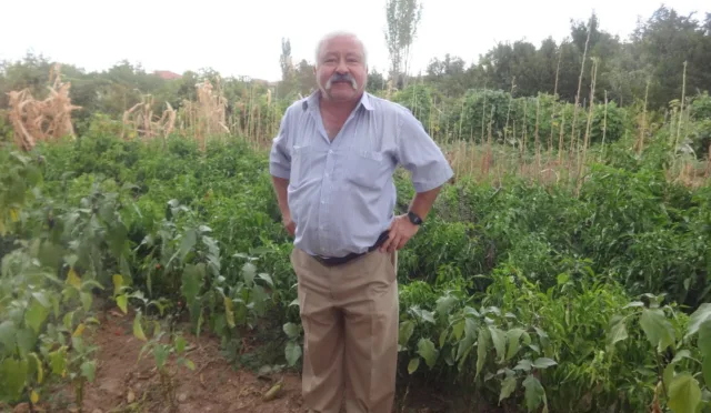 Ahılı Bahçe – Kırıkkale fotoğrafı