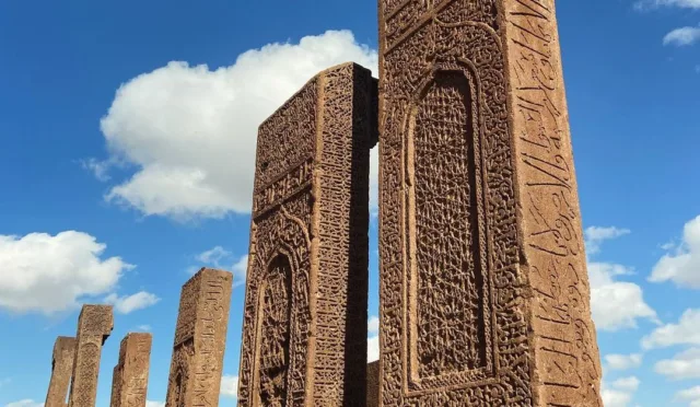 Ahlat Selçuklu Mezarlığı – Bitlis fotoğrafı