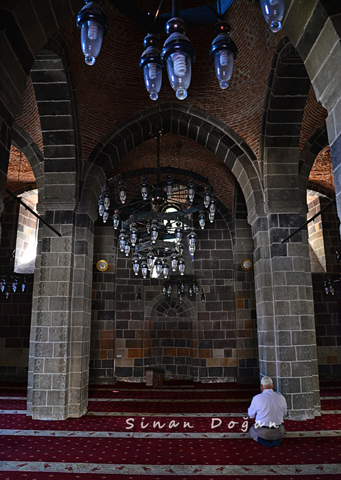 Muş