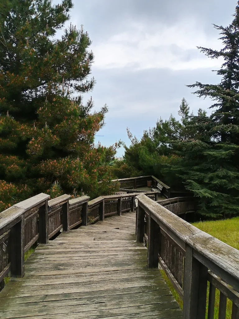 Amisos Tepesi – Samsun