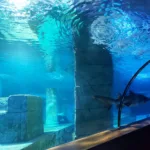 Aqua Vega Akvaryum – Ankara