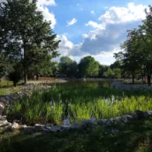 Atatürk Orman Parkı