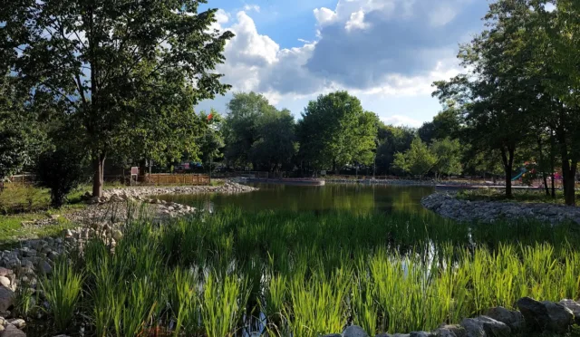 Atatürk Orman Parkı – Bolu fotoğrafı