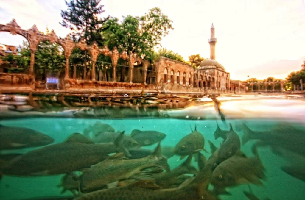 Balıklıgöl – Şanlıurfa