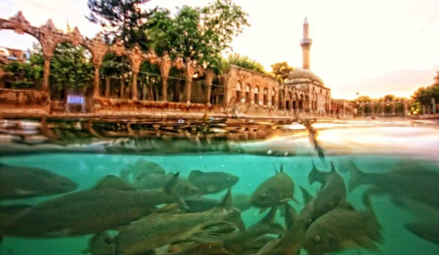 Balıklıgöl – Şanlıurfa fotoğrafı
