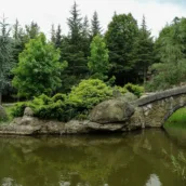 Bayraktepe Tabiat Parkı